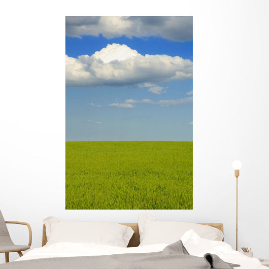 A Canola Field Wall Mural