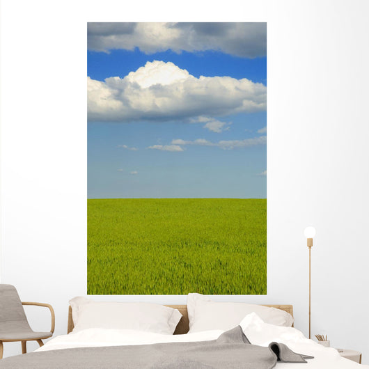 A Canola Field Wall Mural