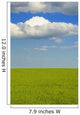 A Canola Field Wall Mural