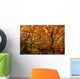Fall Leaves On Trees Wall Mural