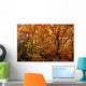 Fall Leaves On Trees Wall Mural