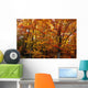 Fall Leaves On Trees Wall Mural