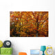 Fall Leaves On Trees Wall Mural