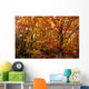 Fall Leaves On Trees Wall Mural