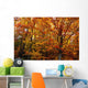 Fall Leaves On Trees Wall Mural