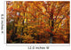 Fall Leaves On Trees Wall Mural