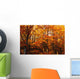 A Vibrant Forest In The Fall Wall Mural
