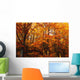 A Vibrant Forest In The Fall Wall Mural