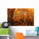 A Vibrant Forest In The Fall Wall Mural