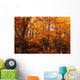 A Vibrant Forest In The Fall Wall Mural