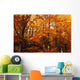 A Vibrant Forest In The Fall Wall Mural