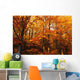 A Vibrant Forest In The Fall Wall Mural