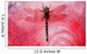 Closeup Of A Dragonfly Wall Mural