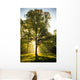 Tree Back Light Wall Decal Design 2