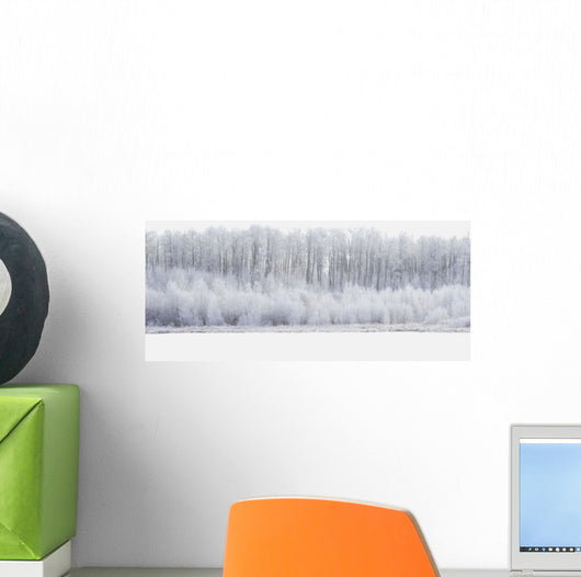 White Wonderland Wall Mural