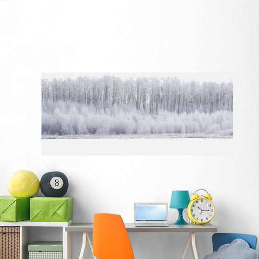 White Wonderland Wall Mural