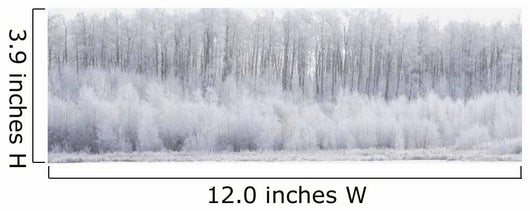 White Wonderland Wall Mural