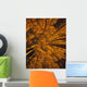 Looking Up At Autumn Tree Tops Wall Mural