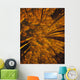 Looking Up At Autumn Tree Tops Wall Mural