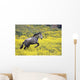Andalucian Horse Wall Mural