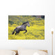 Andalucian Horse Wall Mural