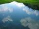 Eau Reflet Ciel Wall Decal Design 2