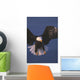 Bald Eagle Hovering In The Air Wall Mural