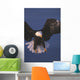 Bald Eagle Hovering In The Air Wall Mural