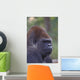 Portrait Of A Gorilla Wall Mural