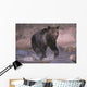 Grizzly Bear Running Through Stream Wall Mural