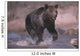 Grizzly Bear Running Through Stream Wall Mural