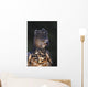 African Crowned Eagle Wall Mural