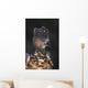 African Crowned Eagle Wall Mural