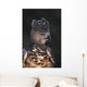 African Crowned Eagle Wall Mural