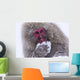 Japanese Snow Monkey Wall Mural