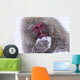 Japanese Snow Monkey Wall Mural