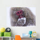 Japanese Snow Monkey Wall Mural