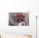 Japanese Snow Monkey Wall Mural