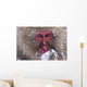 Japanese Snow Monkey Wall Mural