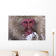 Japanese Snow Monkey Wall Mural