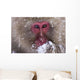 Japanese Snow Monkey Wall Mural