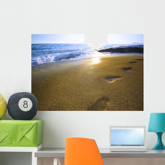 footprints on the beach Wall Mural