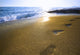 footprints on the beach Wall Mural