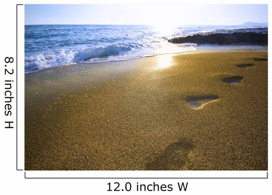 footprints on the beach Wall Mural
