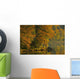 Autumn Scenic Wall Mural