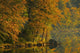 Autumn Scenic Wall Mural