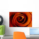 Closeup Of A Rose Wall Mural