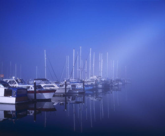 Foggy Morning At A Marina Wall Mural