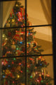 Looking At Indoor Christmas Tree Through Window Wall Mural