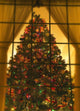 Looking At Indoor Christmas Tree Through Window Wall Mural